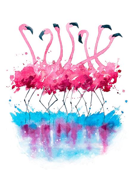 Flamingos (104_2_001)